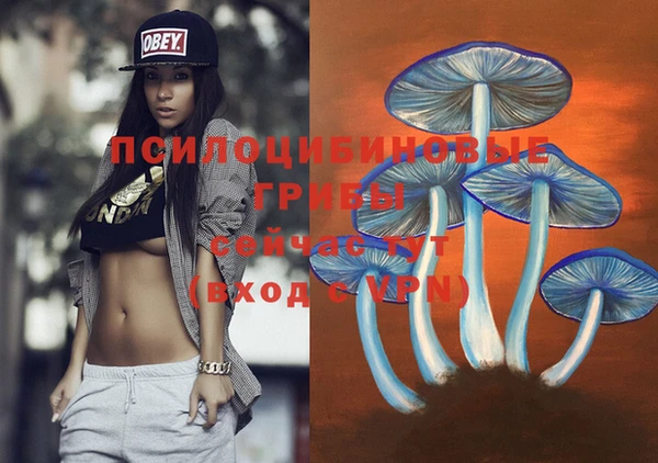 соль курить ск Зеленокумск