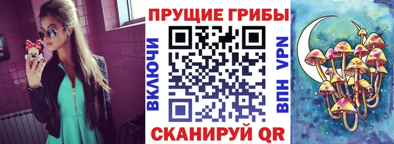 Галлюциногенные грибы Psilocybine cubensis  Купить  Давлеканово 